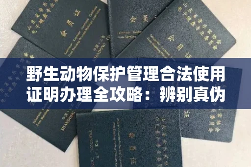 呼和浩特野生动物保护管理合法使用证明办理全攻略:辨别真伪的5个实用技巧