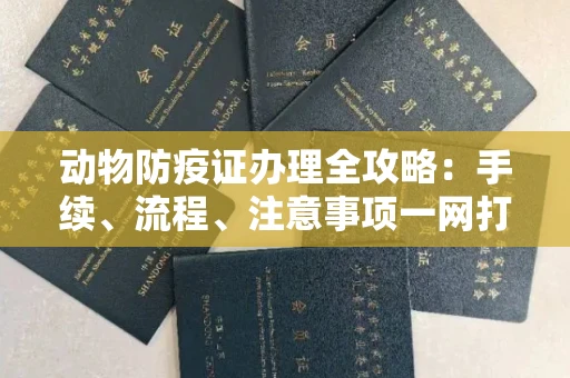 呼和浩特动物防疫证办理全攻略：手续、流程、注意事项一网打尽