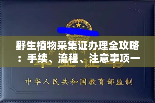 呼和浩特野生植物采集证办理全攻略：手续、流程、注意事项一网打尽